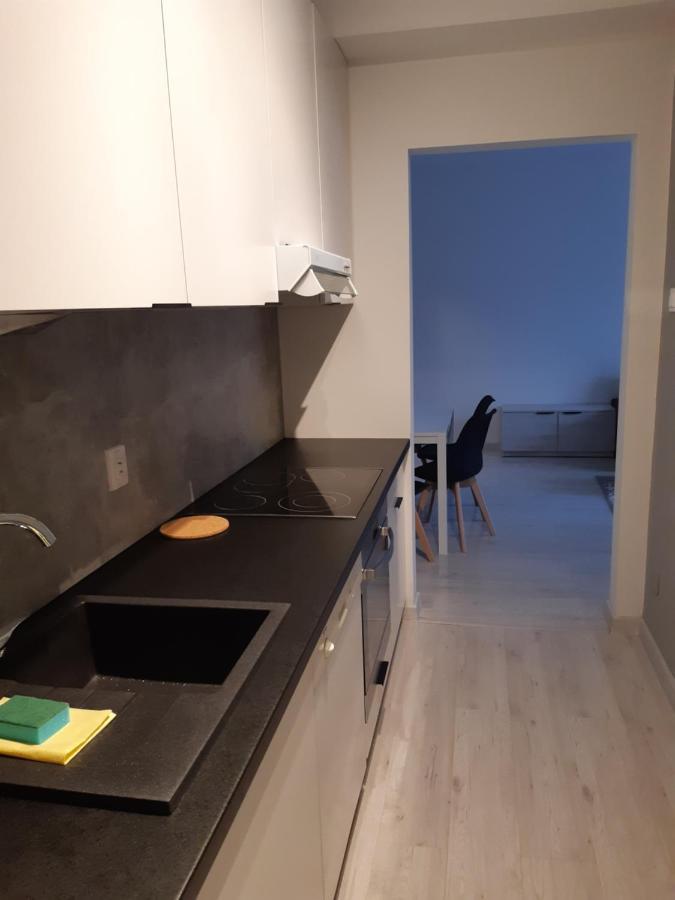 Lewa Lodz Apartment Екстериор снимка